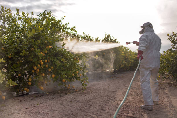 Best Cockroach Control Services  in Horseshoe Bay, TX
