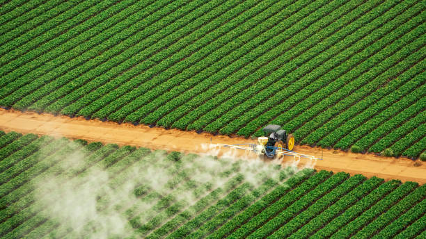 Best Insect Control  in Horseshoe Bay, TX