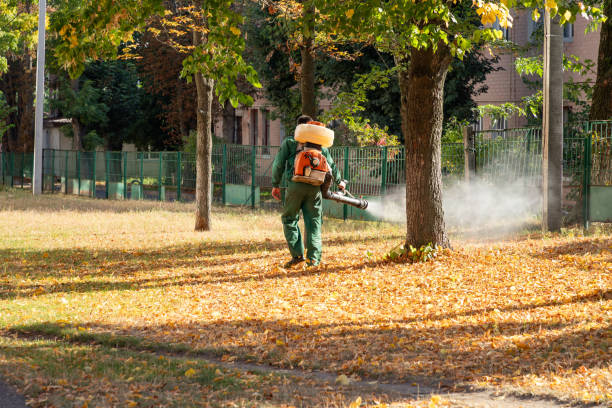 Best Mosquito Control Services  in Horseshoe Bay, TX