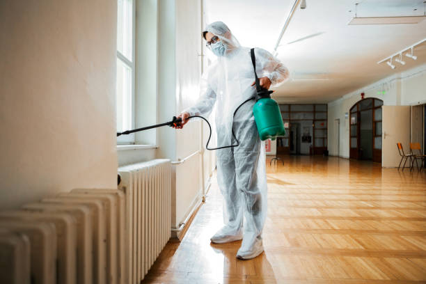 Best Ant Control Services  in Horseshoe Bay, TX