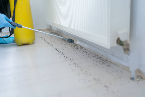 Best Affordable Pest Control Services  in Horseshoe Bay, TX